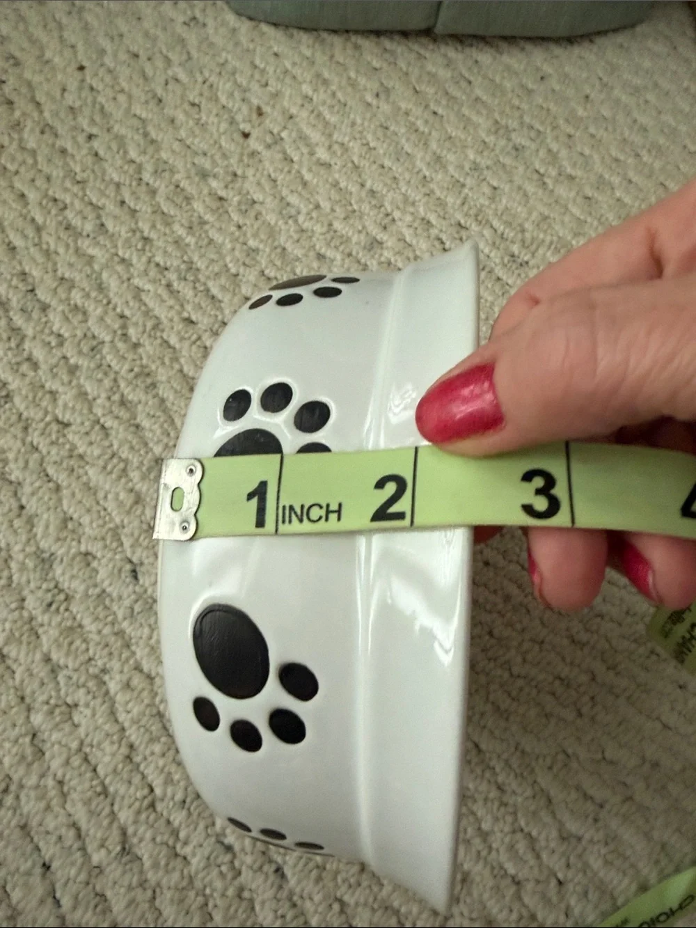 White Ceramic Dog Bowl with Black Polka Dots and Paw Print